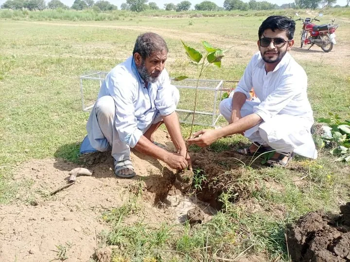 Green Seekers Activity